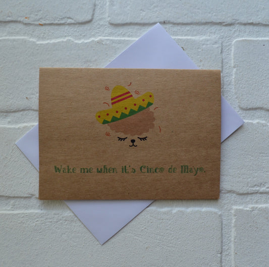 Wake me when it's Cinco de Mayo | Happy Cinco de Mayo | holiday greeting card