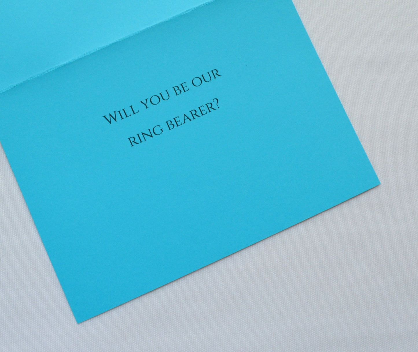 We're looking for a ring bearer | Ring Bearer proposal | Wedding Party Invite